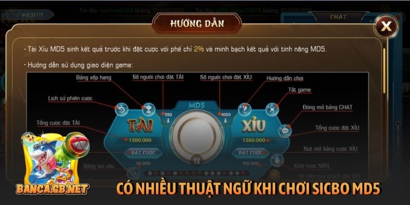 Có nhiều thuật ngữ khi chơi sicbo MD5