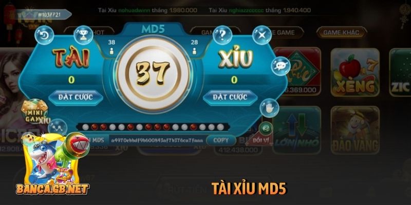 Tài xỉu MD5